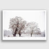 winter white fine art